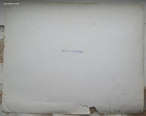 Игорь Добровольский Подборка Фото,Документов,Вымпелов