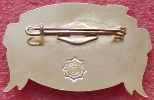 Флот,знаки клуба "Фалеристика"