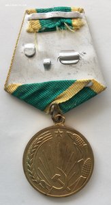 «ЦЕЛИНА» Редкий тип с округлым ухом. Бюджет. ФИКС.