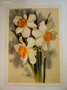 Открытки рисованные цветы изв.художников 1920-1970 годы