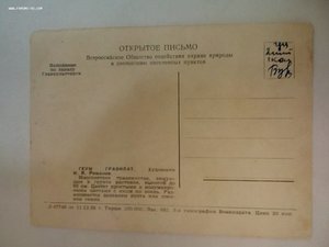 Открытки рисованные цветы изв.художников 1920-1970 годы