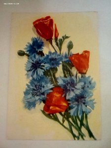 Открытки рисованные цветы изв.художников 1920-1970 годы