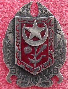 Красный Военный орден Хорезмской республики,копия