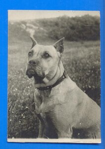 Генерал - Лейтенант Чудесов А.Ф. Семейный Архив 1905-1956
