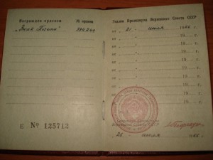 Почет 394240 + док (люкс)