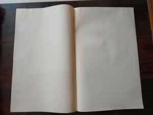 Пачка царевой писчей бумаги со знаками (Способин, Паскевич..