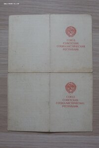 ЗПНГ красная, доки на командира звена ИЛ-2.