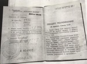 Орден Суворова 3ст. БКЗ контрельеф.