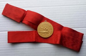 Золотая медаль чемпионата Европы 1960 г., байдарка.