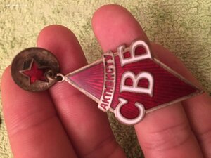 Активисту СВБ