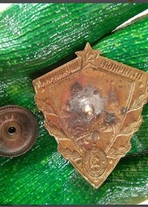 Отличник пограничник МВД.