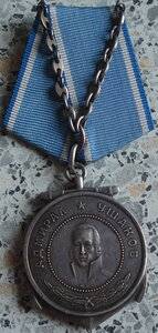 Медаль Ушакова. (на краснофлотца эсминца)