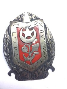 Военный Орден Хорезмской Народной Советской Республики