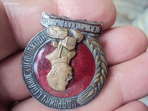 Знак Ударнику Сталинского похода  Челябинская область.