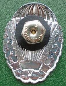 Чехословацкий парашютный знак.