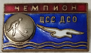 Хоккей с мячом чемпион ЦСС ДСО Буревестник