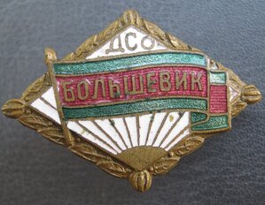 ДСО Большевик Большой