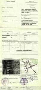 RAR. ОВ 2 ст. 33.206 номер на семь часов, верхнее клеймо.