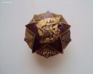 ЗНАК ЧЛЕНА СОЮЗА ОБЪЕДИНЕНИЙ ВЕТЕРАНОВ НАРОДНО-ОСВОБОДИТЕЛЬН
