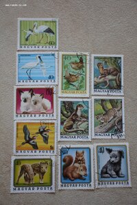 Марки. Подскажите, пожалуйста!