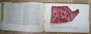 Альбом Колбасы и мясокопчености. Наркомпищепром 1938 год