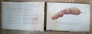 Альбом Колбасы и мясокопчености. Наркомпищепром 1938 год