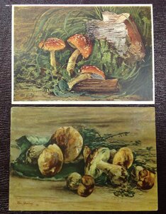 2 открытки Мухоморы и Грибы