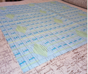 Беларусь. Карточки потребителя 1992, цельный лист 55х55 см.