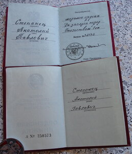 Знак почета и За заслуги перед отечеством 2ст ( документы)