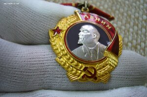 ОЛ 206***