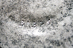 ТКЗ плоский реверс верхнее клеймо