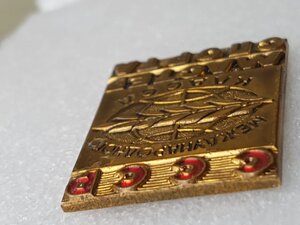 Мастер Спорта Международного класса ЖЕЛТЫЙ ММД без номера