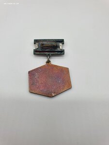 Заслуженный рыбовод РСФСР+ документ и фото.Раритет.