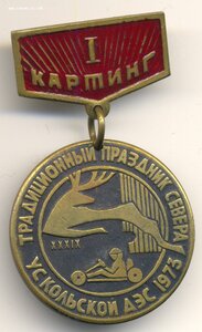 Традиционный праздник Севера, картинг