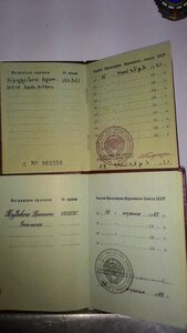 Самый редкий подвесной ТКЗ