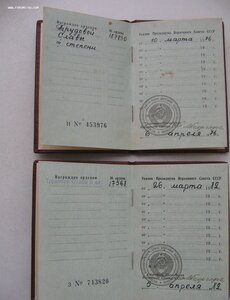 Трудовые Славы 2 и 3 ст.
