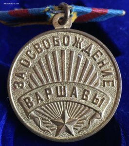 ВАРШАВА - плоское ухо - СОХРАН
