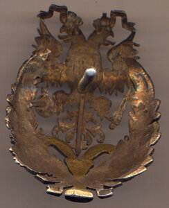 Знак Лекаря. ( Временное правительство ) -" Д.О " , " 84 " .