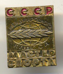 Мастер спорта международного класса
