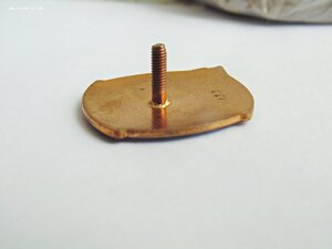 Участник антарктической экспедиции №133
