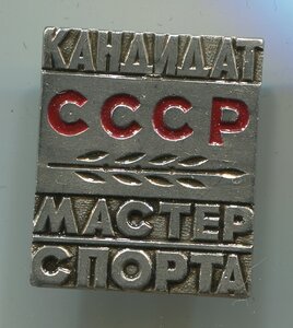 Кандидат мастер спорта СССР