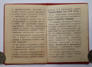 Отличнику главлесоохраны при СНК СССР (2 шт.)