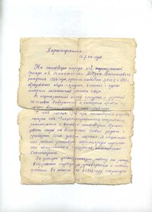 БКЗ, ОВ - 1 ст. Боевая характеристика на партизана.