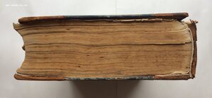 Молоховец. Подарок молодым хозяйкам. 1905 год.