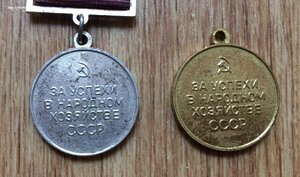 6 медалей: ЗПНЯ, две ЗПНГ, за доблестный труд, две ВДНХ