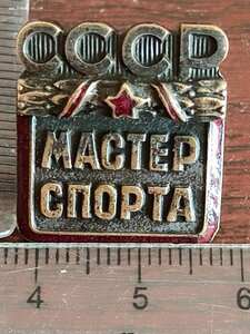 Знак Мастер спорта СССР № 4804