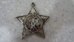 Орден Славы 3 ст. № 251***