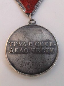 ТРУДОВАЯ ДОБЛЕСТЬ № 5163