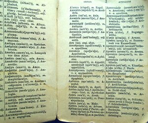 Русско немецкий карманный словарь 1888г