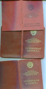 МС-2,МС-3, Материнство